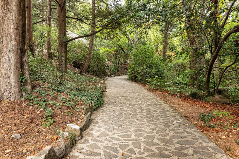 Natural Stone Paver Path